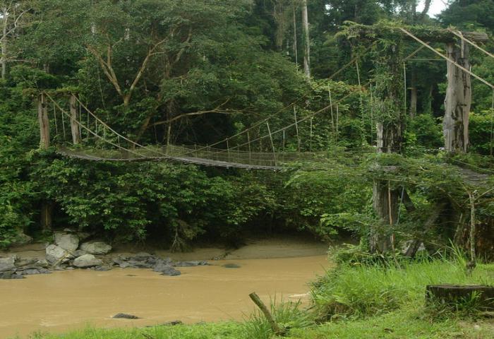 Kondisi Kerawanan Karhutla Berangsur Aman